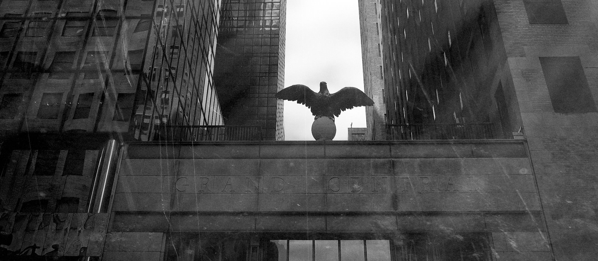 Amerika-Adler