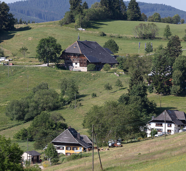 Raitenbuch-Wildenhof
